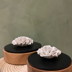 Box CHAN S/2 كسسوارات منزليه wood & black