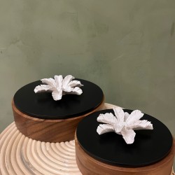 Box PALMI S/2 كسسوارات منزليه wood & black