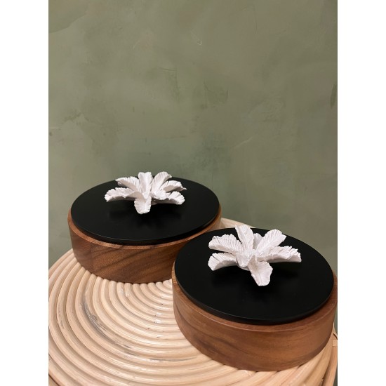 Box PALMI S/2 كسسوارات منزليه wood & black