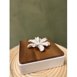 Box LUXOR كسسوارات منزليه square wood & white