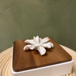 Box LUXOR كسسوارات منزليه square wood & white