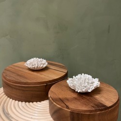 Box THUAN S/2 كسسوارات منزليه wood