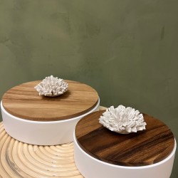 Box NAMI S/2 كسسوارات منزليه white & wood