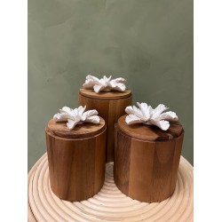 Box CYLA S/3  كسسوارات منزليه