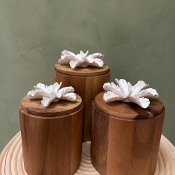 Box CYLA S/3  كسسوارات منزليه