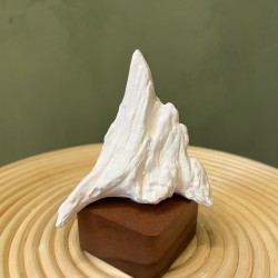 Sculpture Fuji كسسوارات منزليه