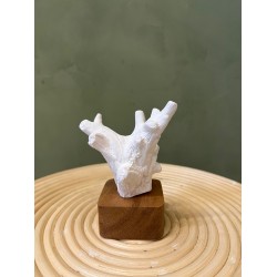 Sculpture Kino كسسوارات منزليه