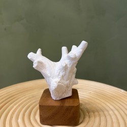 Sculpture Kino كسسوارات منزليه