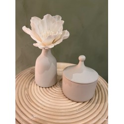 Lima-Mana S/2  كسسوارات منزليه Crème